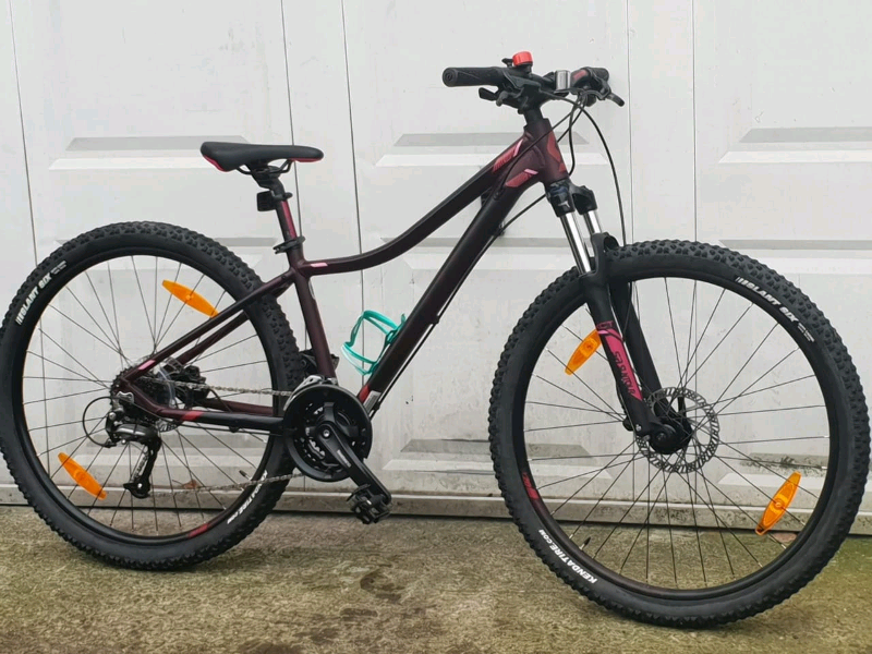 contessa 730 2018
